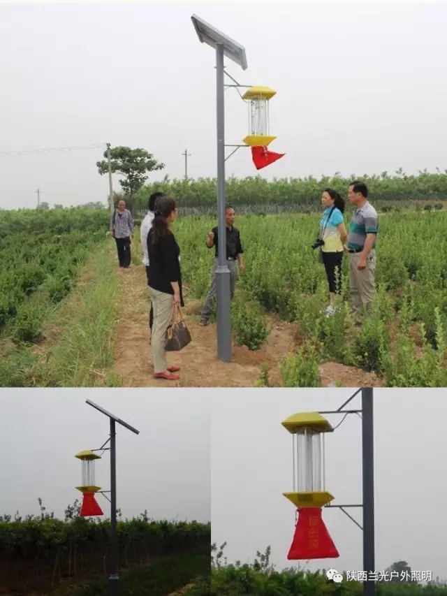 太陽(yáng)能殺蟲燈 太陽(yáng)能殺蟲燈